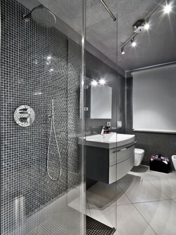 Contemporary Shower